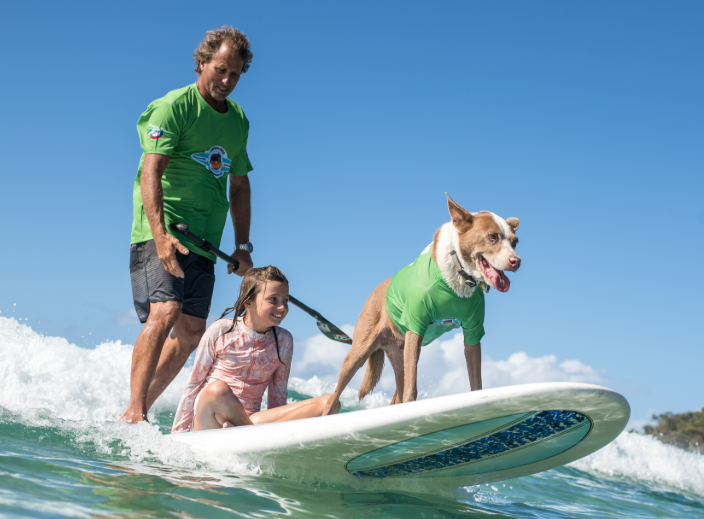 Surfando com cachorro em familia