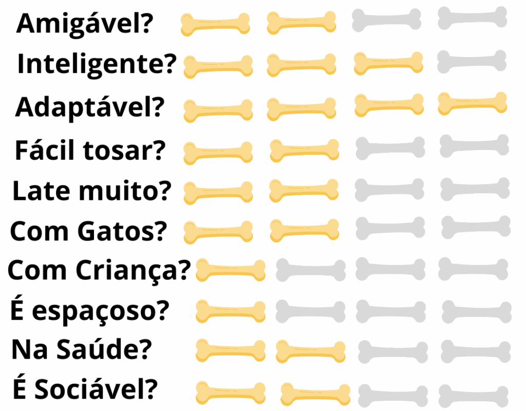Caracteristicas-Fisicas-Cachorro-Affenpinscher