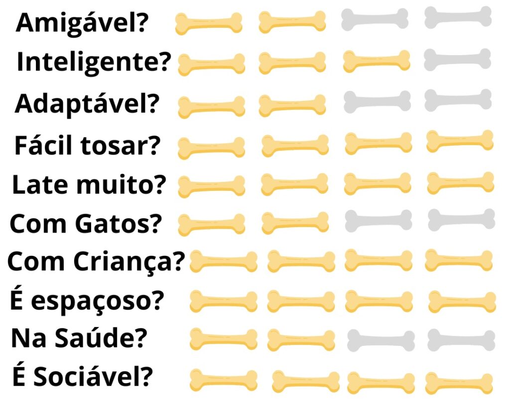 Caracteristicas-Fisicas-Cachorro-Bobtail