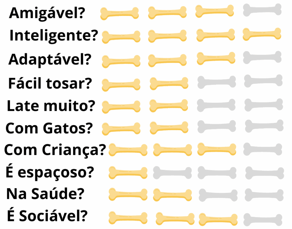 Caracteristicas-Fisicas-Cachorro-Poodle-Toy