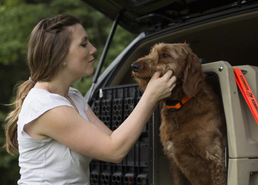 Mulher colocando cachorro na caixa de transporte