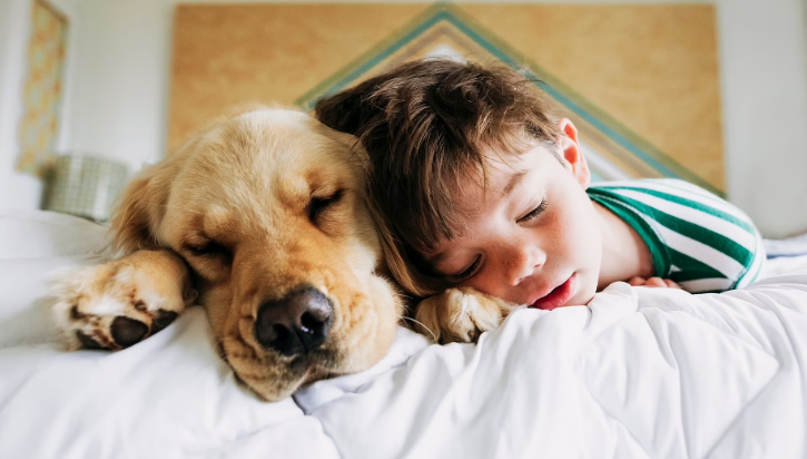 Cachorro dormir com criança