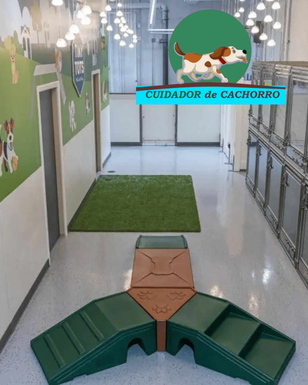 Interior do hotel para cães com baias organizadas e ambiente limpo