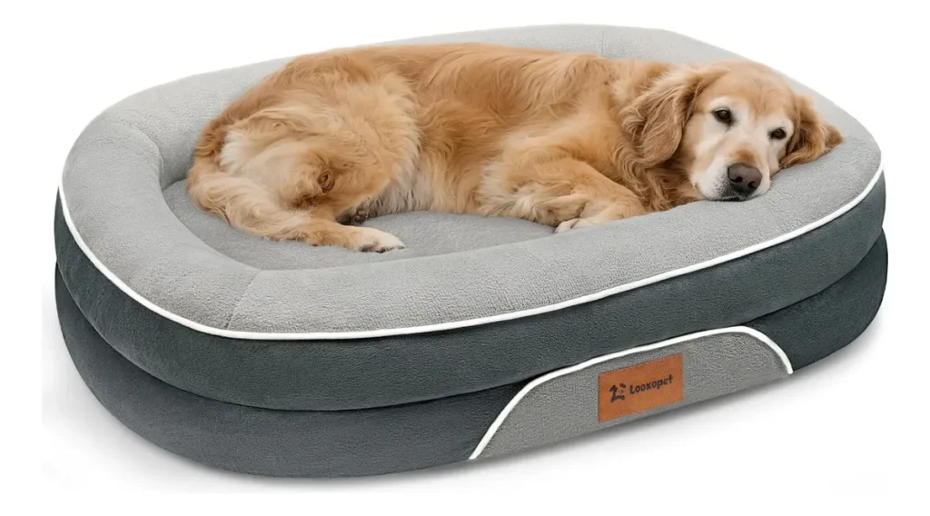 Cama reforçada para cães grandes com estrutura resistente