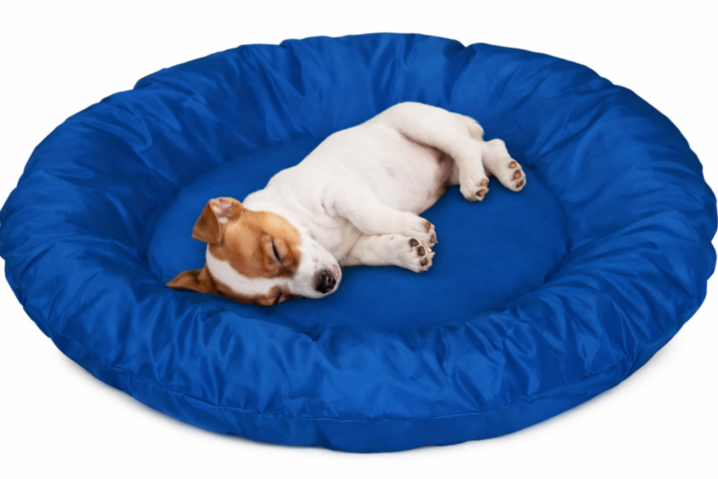 Cama refrescante para cachorro com gel ou tecido que ajuda a reduzir o calor