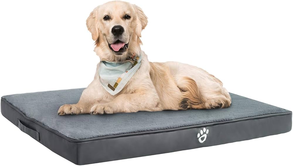 Cama para cachorro com espuma de alta densidade resistente e confortável