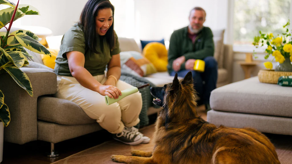 Cachorro fazendo exercícios físicos para emagrecer e manter saúde