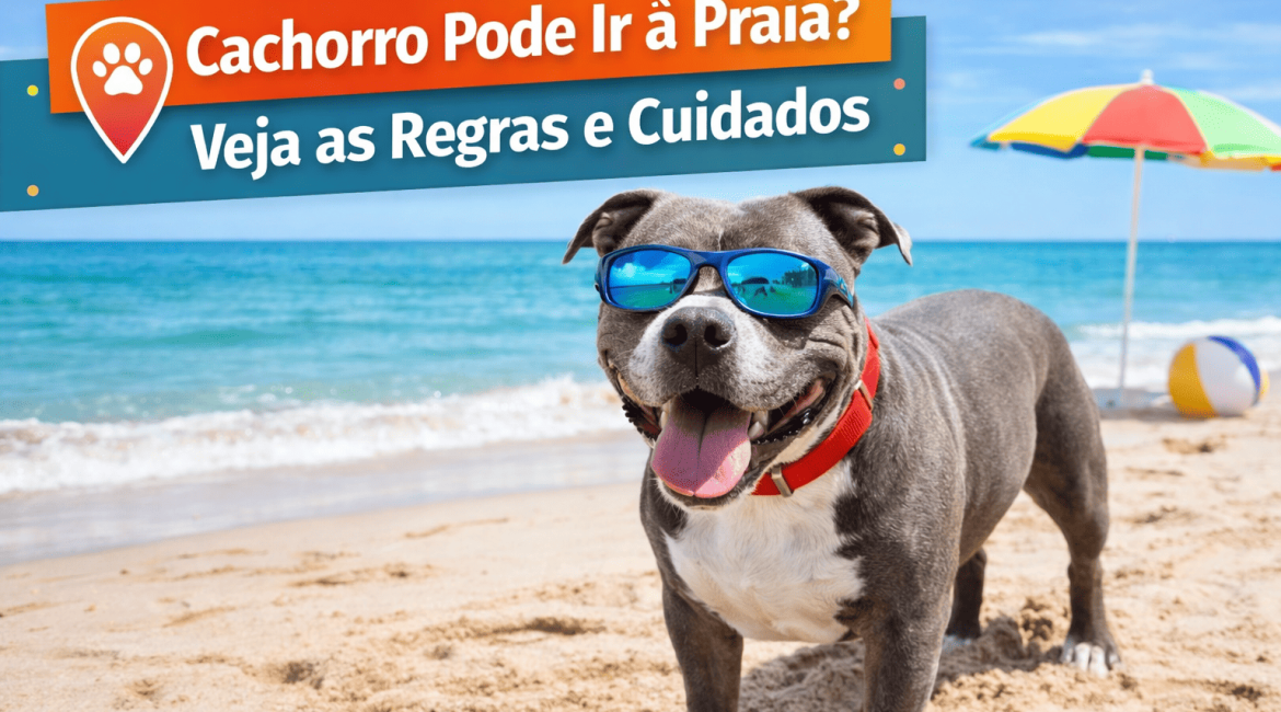 Cachorro Pitbull estiloso na praia usando acessórios
