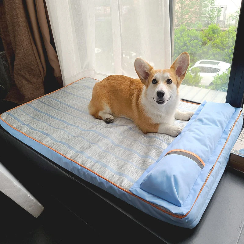 Cama antialérgica para cachorro com material hipoalergênico
