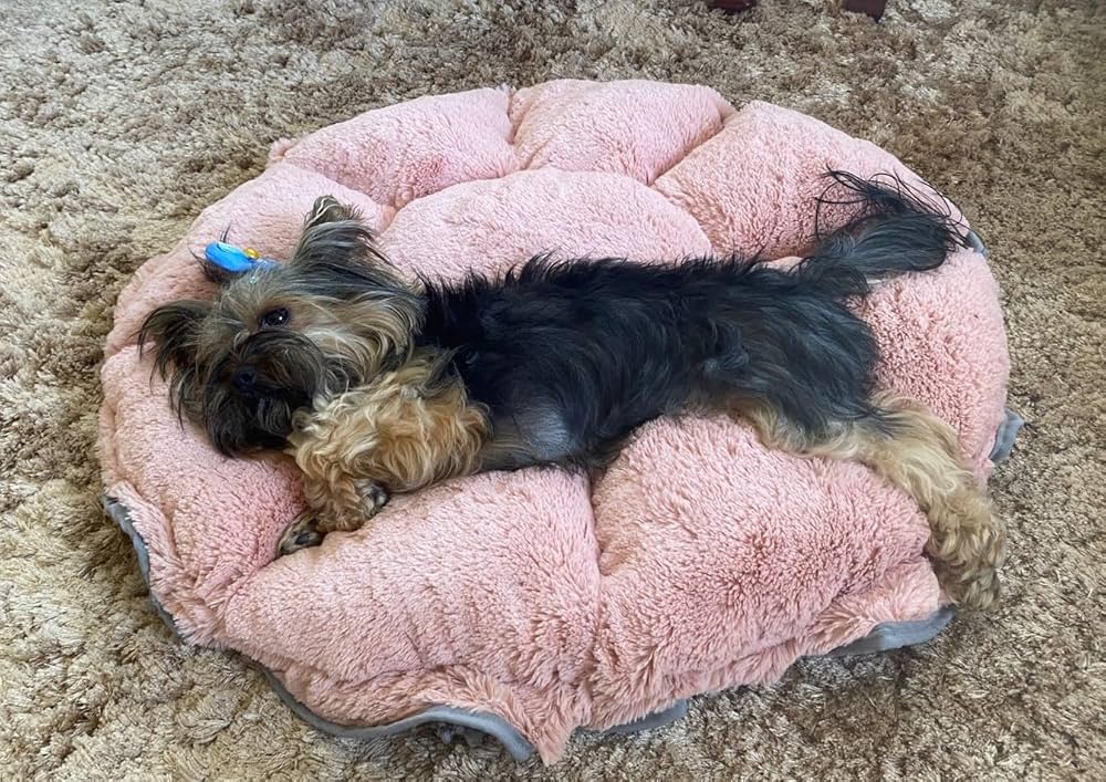 Cama tipo ninho para cachorro macia e aconchegante