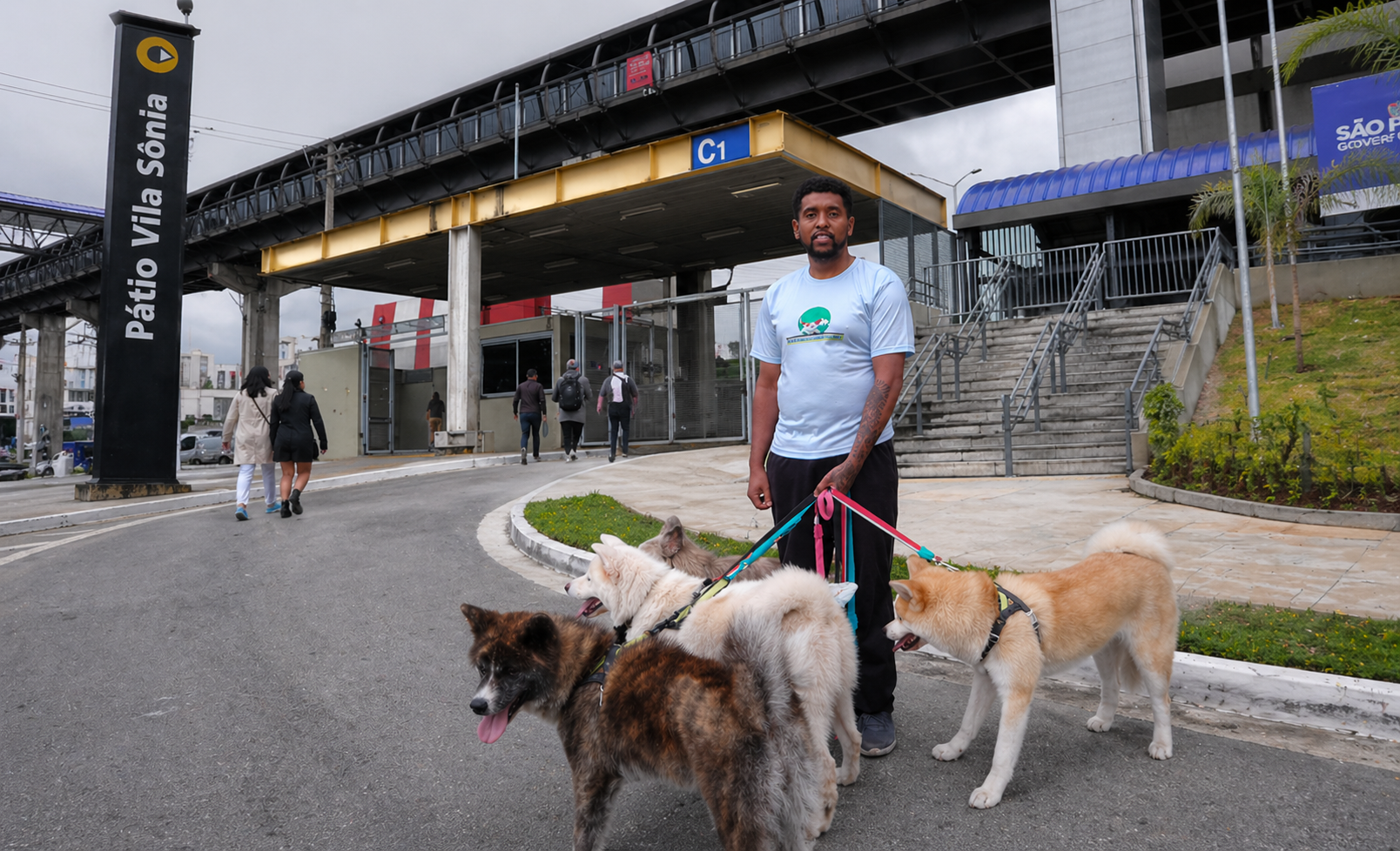 Dog Walker Vila Sônia: Rotina de Passeios para Cães Ativos