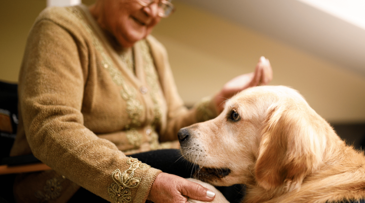 Terapia com cães ajudando no bem-estar emocional de uma pessoa