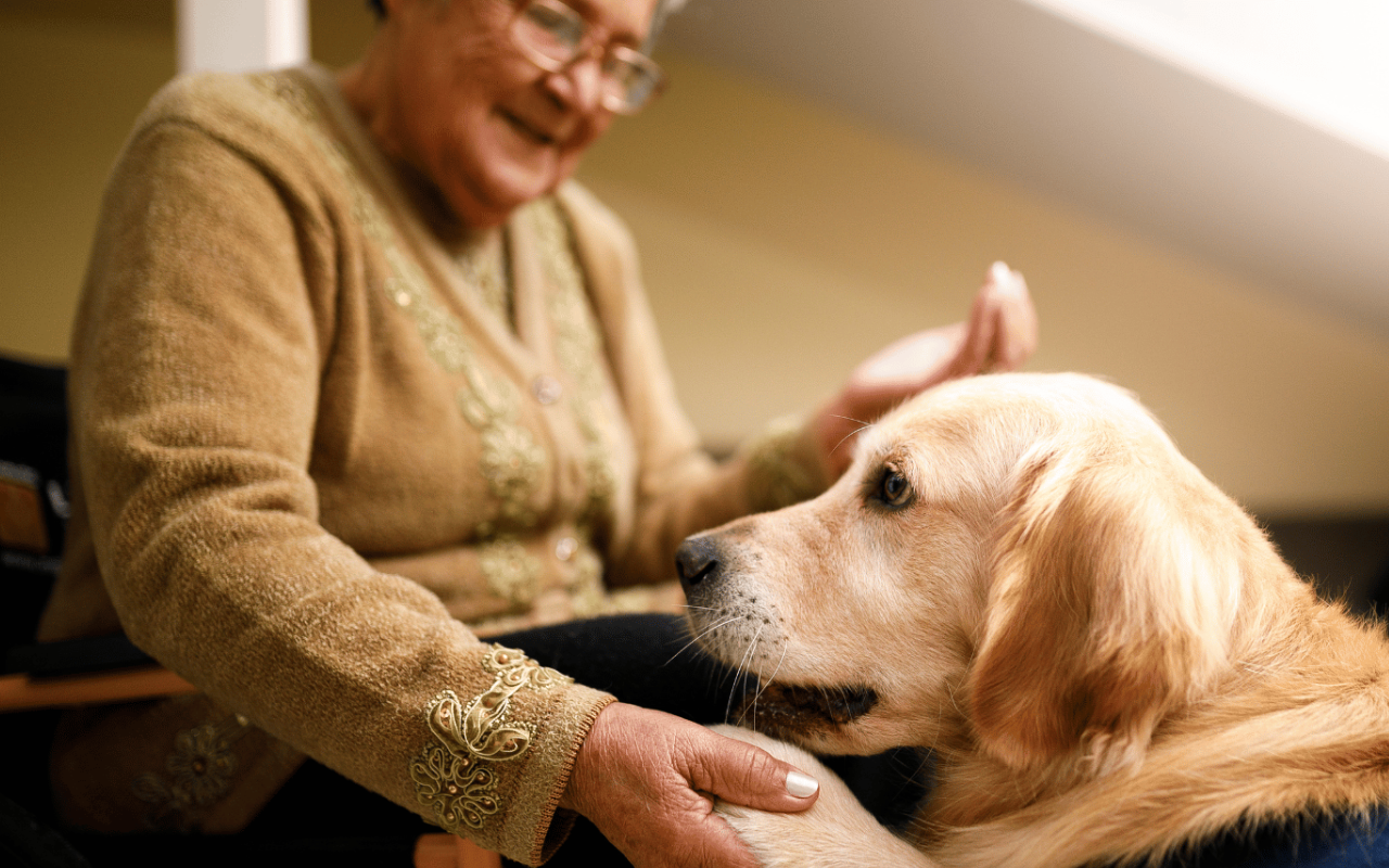 Terapia Assistida por Cães: Como Funciona e Quem Pode se Beneficiar