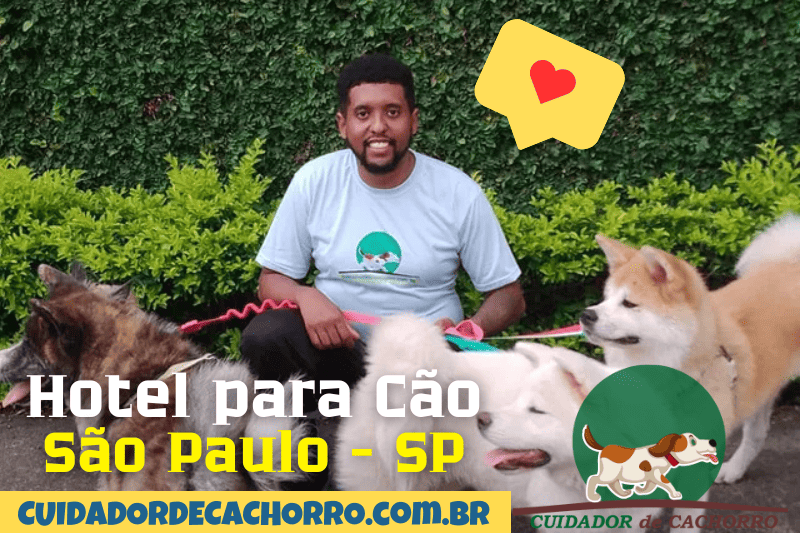 Hotel para cachorro em São Paulo com hospedagem segura para cães
